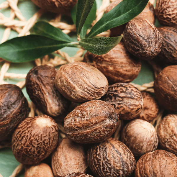 pro_527_Shea-nuts.png