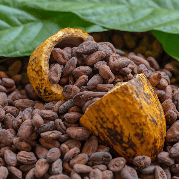 pro_70f_Cocoa-beans.png