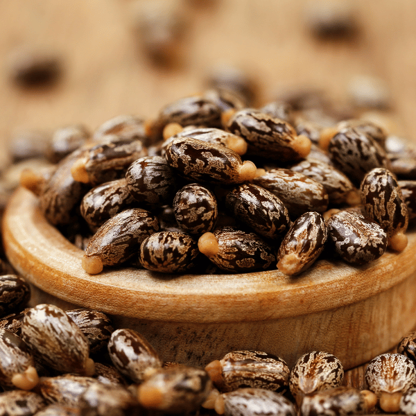 pro_75e_Castor-beans.png