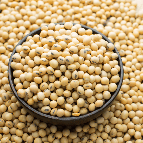 pro_c4c_Soybean.png